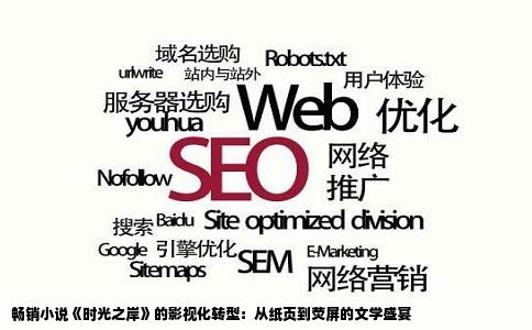 畅销小说《时光之岸》的影视化转型：从纸页到荧屏的文学盛宴