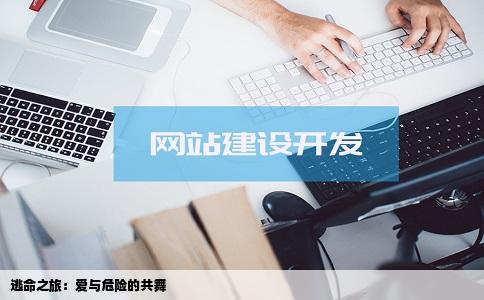 逃命之旅：爱与危险的共舞