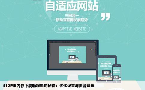 512MB内存下流畅观影的秘诀：优化设置与资源管理
