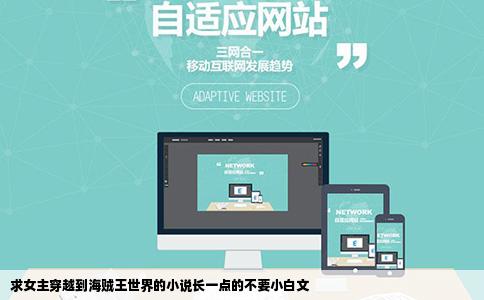 求女主穿越到海贼王世界的小说长一点的不要小白文