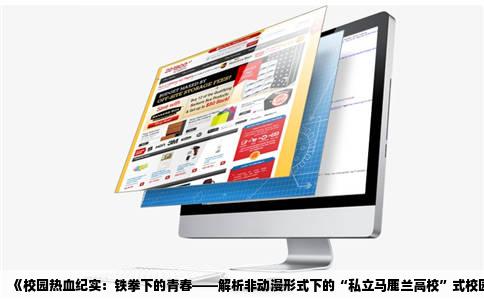 《校园热血纪实：铁拳下的青春——解析非动漫形式下的“私立马鹿兰高校”式校园斗争剧》
