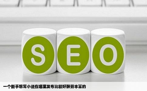一个新手想写小说在哪里发布比较好酬劳丰富的