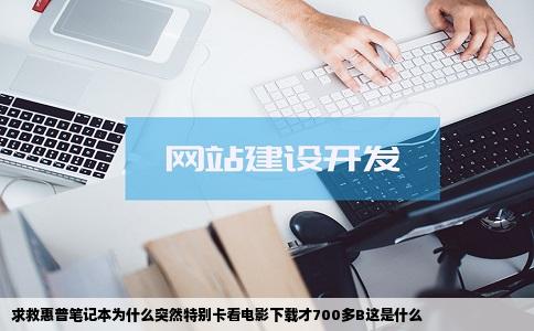 求救惠普笔记本为什么突然特别卡看电影下载才700多B这是什么