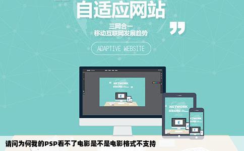 请问为何我的PSP看不了电影是不是电影格式不支持