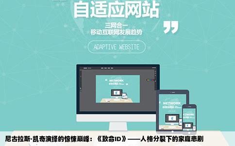 尼古拉斯·凯奇演绎的惊悚巅峰：《致命ID》——人格分裂下的家庭悲剧