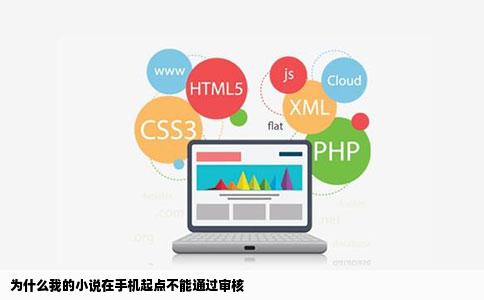 为什么我的小说在手机起点不能通过审核