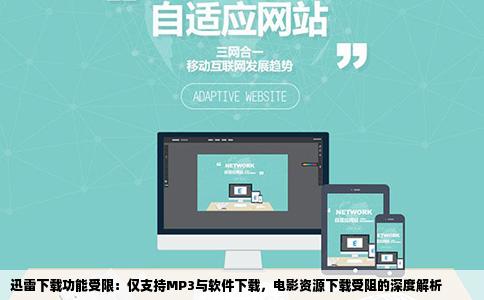 迅雷下载功能受限：仅支持MP3与软件下载，电影资源下载受阻的深度解析