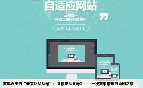 笑料百出的“未来岳父岳母”：《搞定岳父母》——一次笑中带泪的喜剧之旅