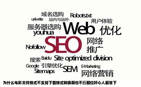 为什么电影文件格式不支持下载格式转换器也不行那位好心人解答下