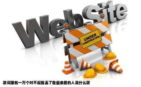 歌词里有一万个对不起我丢了我最亲爱的人是什么歌