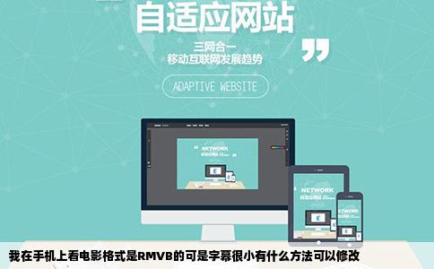 我在手机上看电影格式是RMVB的可是字幕很小有什么方法可以修改