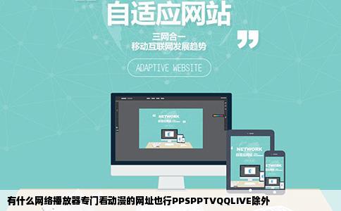 有什么网络播放器专门看动漫的网址也行PPSPPTVQQLIVE除外