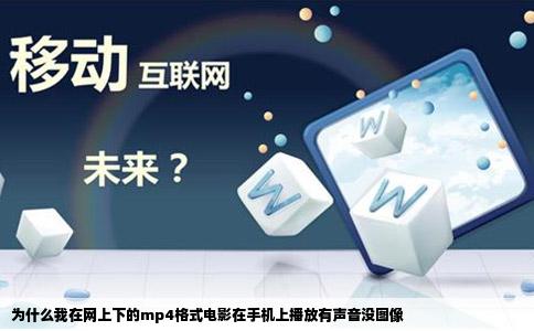 为什么我在网上下的mp4格式电影在手机上播放有声音没图像