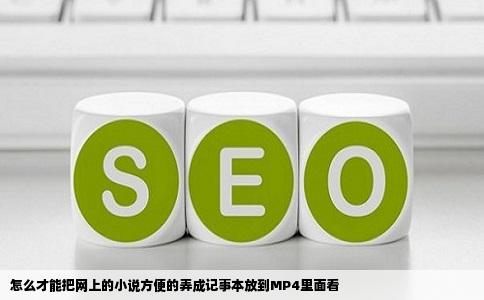 怎么才能把网上的小说方便的弄成记事本放到MP4里面看