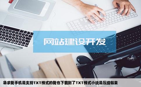 急求我手机是支持TXT格式的我也下载到了TXT格式小说是压缩包来