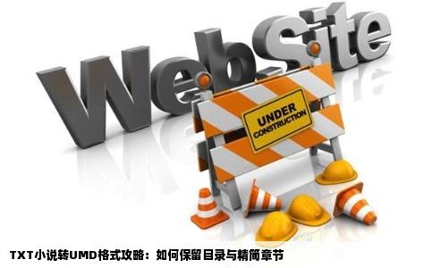 TXT小说转UMD格式攻略：如何保留目录与精简章节