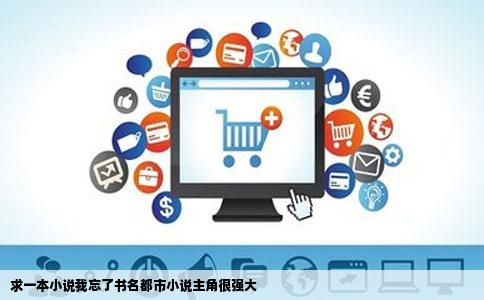 求一本小说我忘了书名都市小说主角很强大