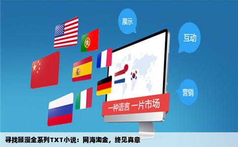 寻找顾漫全系列TXT小说：网海淘金，终见真章