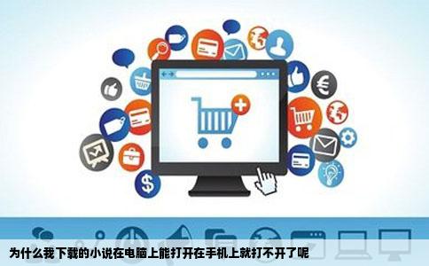 为什么我下载的小说在电脑上能打开在手机上就打不开了呢