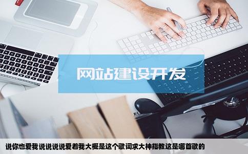 说你也爱我说说说说爱着我大概是这个歌词求大神指教这是哪首歌的