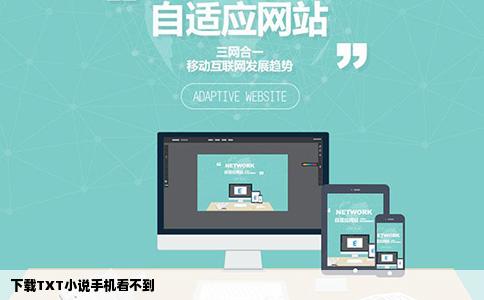 下载TXT小说手机看不到