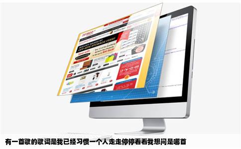 有一首歌的歌词是我已经习惯一个人走走停停看看我想问是哪首