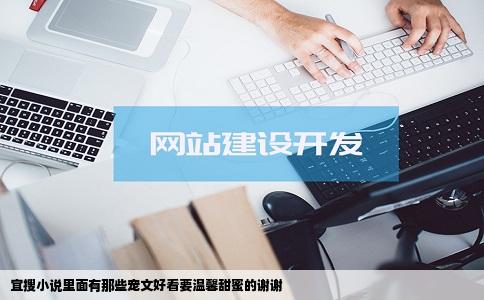 宜搜小说里面有那些宠文好看要温馨甜蜜的谢谢