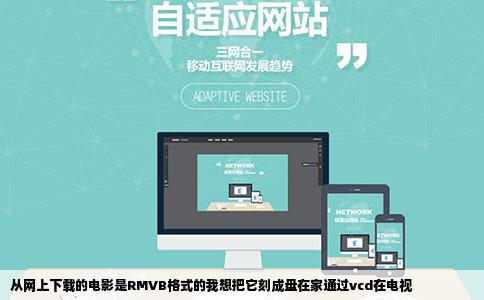从网上下载的电影是RMVB格式的我想把它刻成盘在家通过vcd在电视