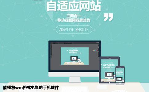 能播放wm格式电影的手机软件