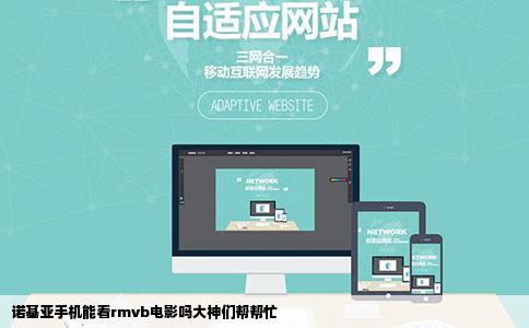 诺基亚手机能看rmvb电影吗大神们帮帮忙
