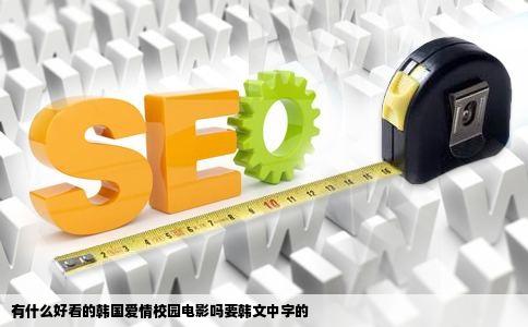 有什么好看的韩国爱情校园电影吗要韩文中字的