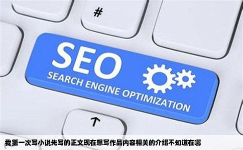 我第一次写小说先写的正文现在想写作品内容相关的介绍不知道在哪
