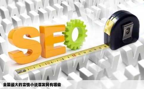 全国最大的言情小说首发网有哪些