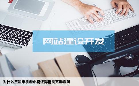 为什么三星手机看小说还得用浏览器看呀