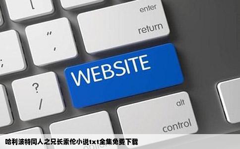 哈利波特同人之兄长索伦小说txt全集免费下载