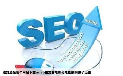 谁知道在哪个网站下载rmvb格式的电影和电视剧啊除了迅雷