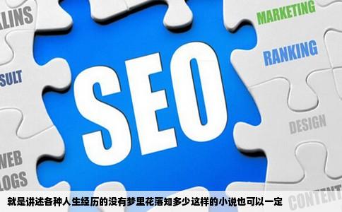 就是讲述各种人生经历的没有梦里花落知多少这样的小说也可以一定