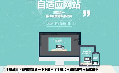 用手机迅雷下载电影突然一下下载不了手机和网络都没有问题这是不