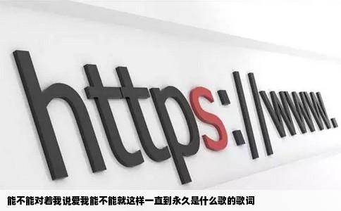 能不能对着我说爱我能不能就这样一直到永久是什么歌的歌词