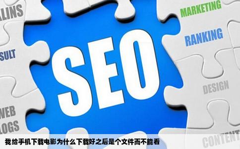 我给手机下载电影为什么下载好之后是个文件而不能看