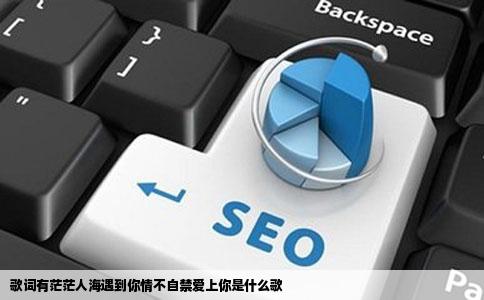 歌词有茫茫人海遇到你情不自禁爱上你是什么歌