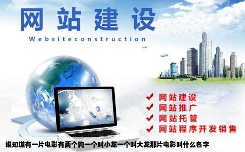 谁知道有一片电影有两个狗一个叫小龙一个叫大龙那片电影叫什么名字