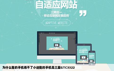 为什么我的手机看不了小说我的手机是三星GTC3322