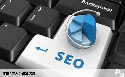 苹果6导入小说全攻略
