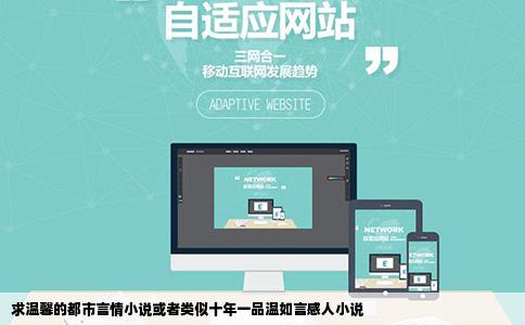 求温馨的都市言情小说或者类似十年一品温如言感人小说