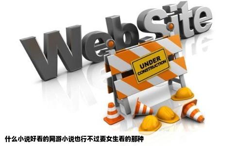 什么小说好看的网游小说也行不过要女生看的那种