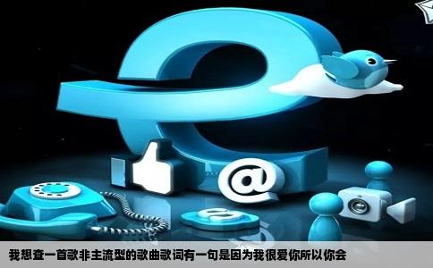 我想查一首歌非主流型的歌曲歌词有一句是因为我很爱你所以你会