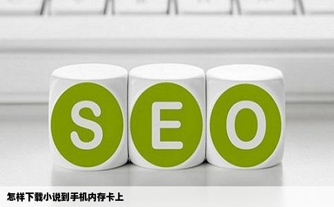 怎样下载小说到手机内存卡上