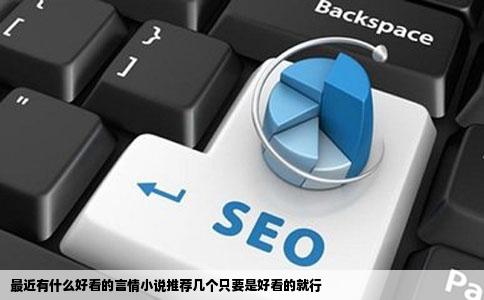 最近有什么好看的言情小说推荐几个只要是好看的就行