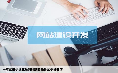 一本武侠小说主角叫叶缺的是什么小说名字